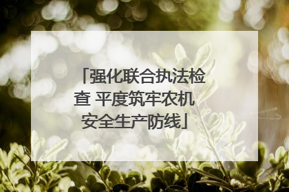 强化联合执法检查 平度筑牢农机安全生产防线