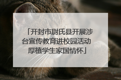 开封市尉氏县开展涉台宣传教育进校园活动 厚植学生家国情怀