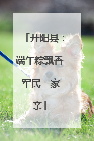 开阳县：端午粽飘香 军民一家亲