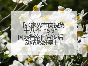 张家界市庆祝第十八个“6·9”国际档案日宣传活动精彩纷呈