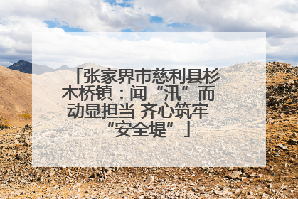 张家界市慈利县杉木桥镇：闻“汛”而动显担当 齐心筑牢“安全堤”