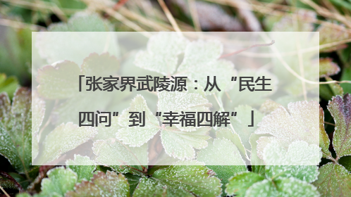 张家界武陵源：从“民生四问”到“幸福四解”