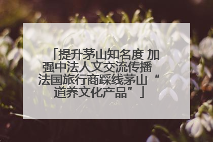 提升茅山知名度 加强中法人文交流传播 法国旅行商踩线茅山“道养文化产品”