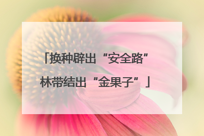 换种辟出“安全路” 林带结出“金果子”