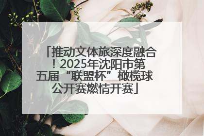推动文体旅深度融合！2025年沈阳市第五届“联盟杯”橄榄球公开赛燃情开赛