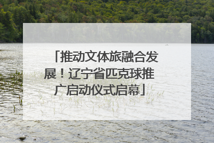 推动文体旅融合发展！辽宁省匹克球推广启动仪式启幕