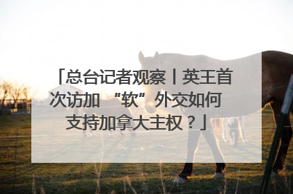 总台记者观察丨英王首次访加 “软”外交如何支持加拿大主权？