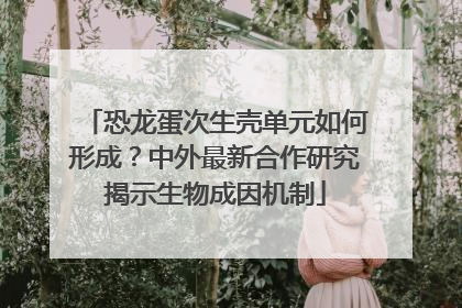 恐龙蛋次生壳单元如何形成？中外最新合作研究揭示生物成因机制
