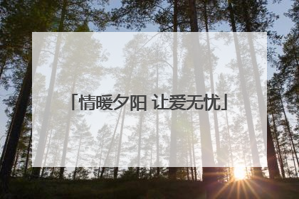 情暖夕阳 让爱无忧