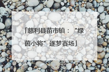 慈利县苗市镇：“绿茵小将”逐梦赛场