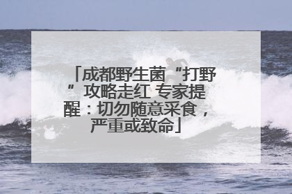 成都野生菌“打野”攻略走红 专家提醒：切勿随意采食，严重或致命