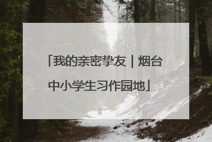我的亲密挚友｜烟台中小学生习作园地
