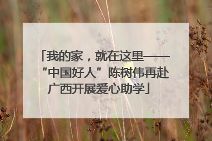 我的家，就在这里——“中国好人”陈树伟再赴广西开展爱心助学