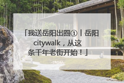 我送岳阳出圈①丨岳阳citywalk，从这条千年老街开始！