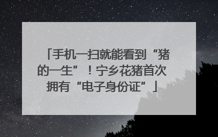 手机一扫就能看到“猪的一生”！宁乡花猪首次拥有“电子身份证”