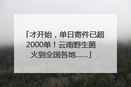 才开始，单日寄件已超2000单！云南野生菌火到全国各地……