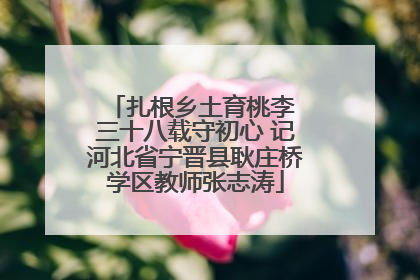 扎根乡土育桃李 三十八载守初心 记河北省宁晋县耿庄桥学区教师张志涛