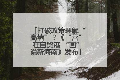 打破政策理解“高墙”？《“营”在自贸港 “画”说新海南》发布