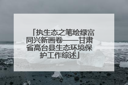执生态之笔绘绿富同兴新画卷——甘肃省高台县生态环境保护工作综述