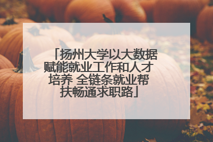 扬州大学以大数据赋能就业工作和人才培养 全链条就业帮扶畅通求职路