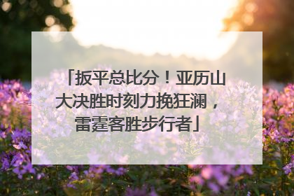 扳平总比分！亚历山大决胜时刻力挽狂澜，雷霆客胜步行者