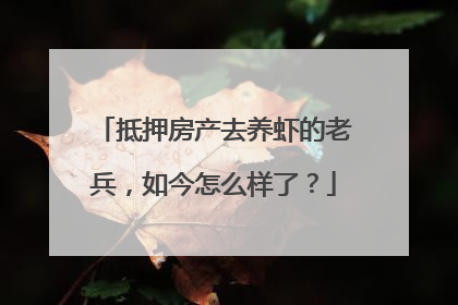 抵押房产去养虾的老兵，如今怎么样了？