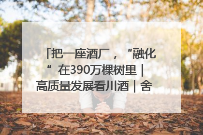 把一座酒厂，“融化”在390万棵树里｜高质量发展看川酒｜舍得酒｜舍得酒业｜舍得老酒｜沱牌酒