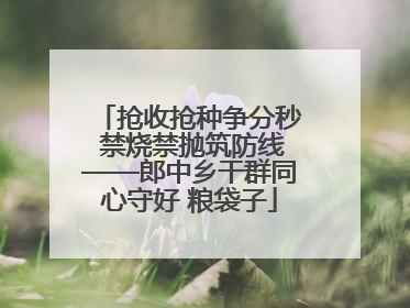 抢收抢种争分秒 禁烧禁抛筑防线——郎中乡干群同心守好 粮袋子
