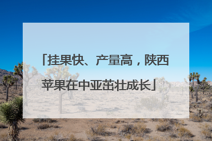 挂果快、产量高，陕西苹果在中亚茁壮成长