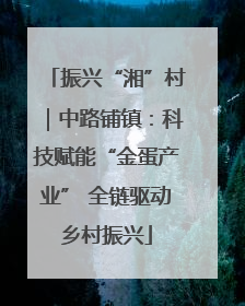 振兴“湘”村｜中路铺镇：科技赋能“金蛋产业” 全链驱动乡村振兴
