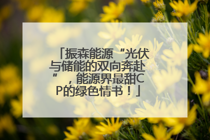 振森能源“光伏与储能的双向奔赴”，能源界最甜CP的绿色情书！