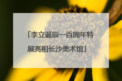 李立诞辰一百周年特展亮相长沙美术馆