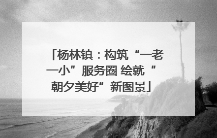 杨林镇：构筑“一老一小”服务圈 绘就“朝夕美好”新图景