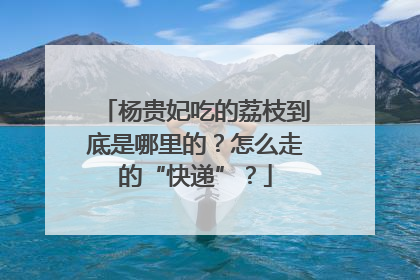 杨贵妃吃的荔枝到底是哪里的？怎么走的“快递”？