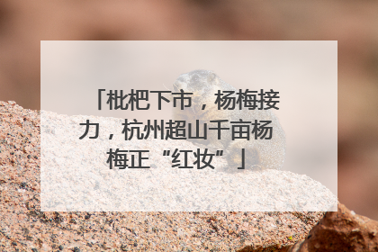 枇杷下市，杨梅接力，杭州超山千亩杨梅正“红妆”