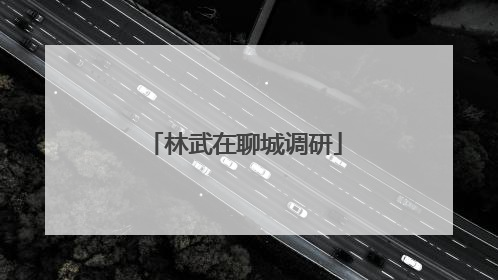 林武在聊城调研