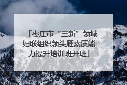 枣庄市“三新”领域妇联组织领头雁素质能力提升培训班开班