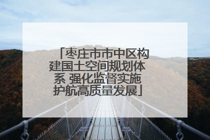 枣庄市市中区构建国土空间规划体系 强化监督实施护航高质量发展