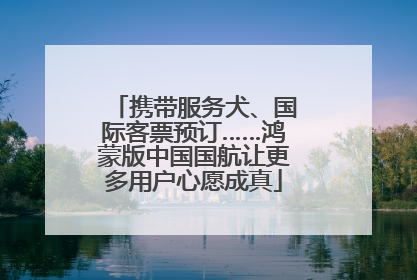 携带服务犬、国际客票预订……鸿蒙版中国国航让更多用户心愿成真