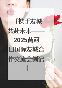携手友城 共赴未来——2025黄河口国际友城合作交流会侧记