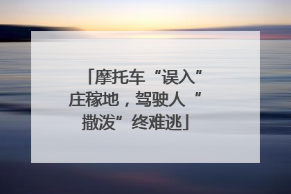 摩托车“误入”庄稼地，驾驶人“撒泼”终难逃