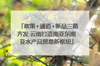 政策+通道+新品三箭齐发 云南打造南亚东南亚水产品贸易新枢纽