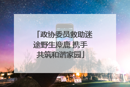 政协委员救助迷途野生麋鹿 携手共筑和谐家园