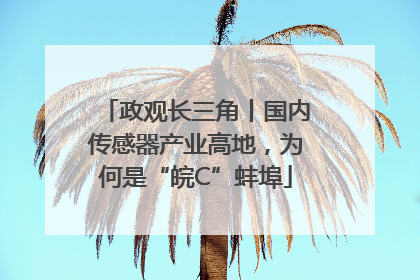 政观长三角丨国内传感器产业高地，为何是“皖C”蚌埠