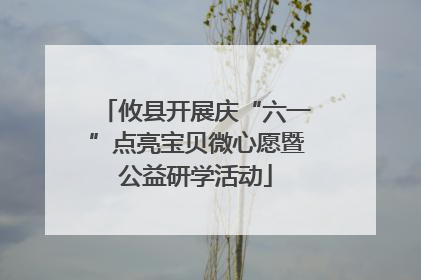 攸县开展庆“六一”点亮宝贝微心愿暨公益研学活动