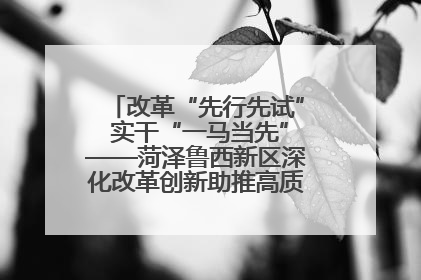 改革“先行先试” 实干“一马当先”——菏泽鲁西新区深化改革创新助推高质量发展纪实
