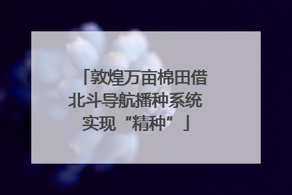 敦煌万亩棉田借北斗导航播种系统实现“精种”