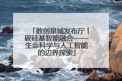 数创泉城发布厅丨碳硅基智能融合——生命科学与人工智能的边界探索