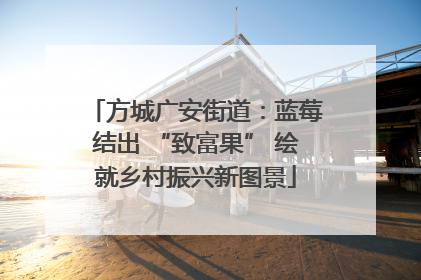 方城广安街道：蓝莓结出 “致富果” 绘就乡村振兴新图景
