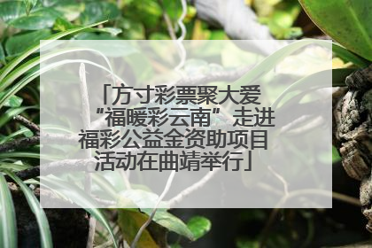方寸彩票聚大爱 “福暖彩云南”走进福彩公益金资助项目活动在曲靖举行